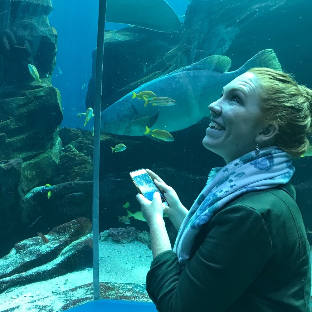 Meet your Posher, Amanda